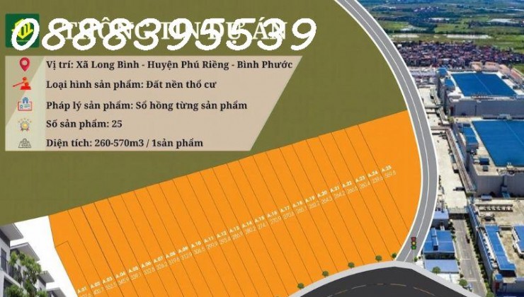 Bán Lô Đất 300m² Mặt Tiền Đường Nhựa 19m – Chỉ 300 Triệu – Cơ Hội Đầu Tư Tốt Nhất Tại Long Bình, Bình Phước